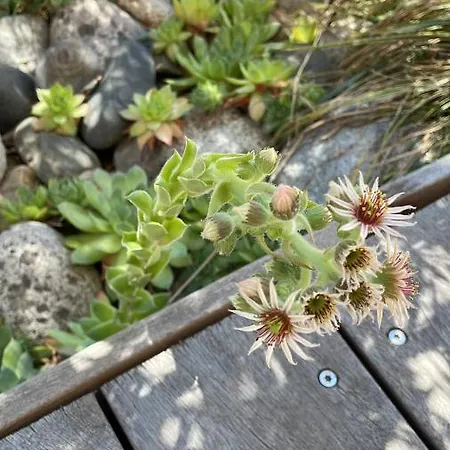 Σπίτι διακοπών Maison Candau Pessac